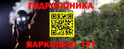 тгк Партизанск