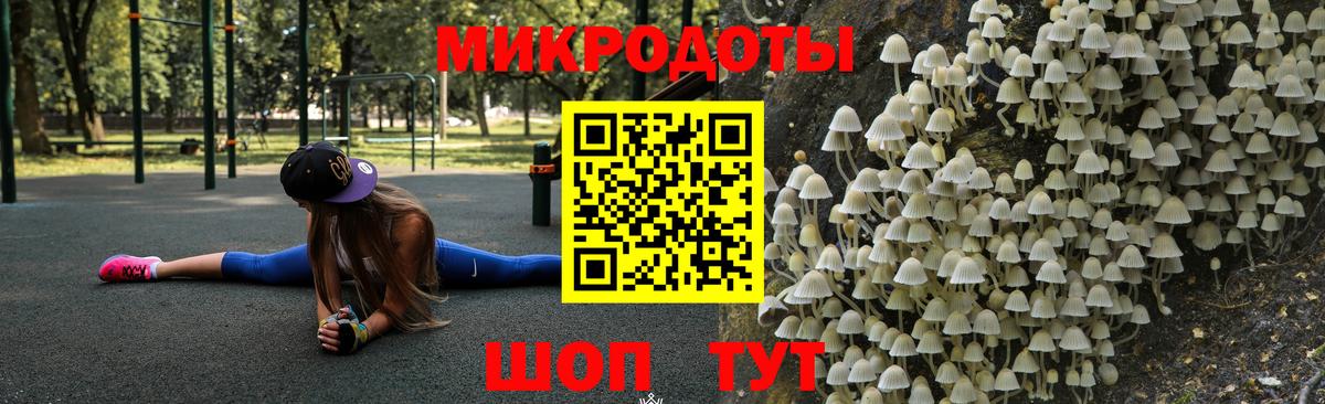 Галлюциногенные грибы прущие грибы Тихорецк